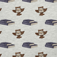 EULEN / Bücher (ZAUBERSCHULE)  / M-01 melange hellgrau