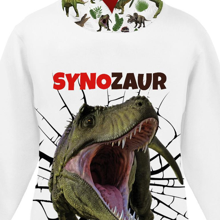 DĚTSKÁ MIKINA S KAPUCÍ (ALEX) - SYNOZAUR - teplákovina