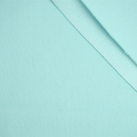 Gruba dresówka drapana D300 - AQUA (D-180)