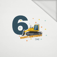 6ST BIRTHDAY / BULLDOZER - panel looped knit