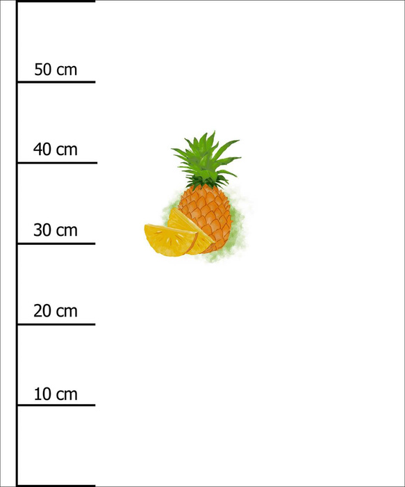 PINEAPPLE - panel (60cm x 50cm)