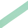Webbing tape 30mm - MINT