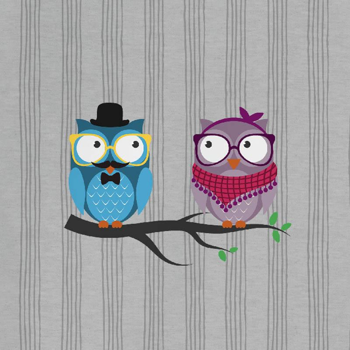 LONGSLEEVE - TWO OWLS / grey - single jersey (86/92)