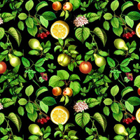 MINI PARADIESFRÜCHTE ms. 3 (PARADIESGARTEN) - Wasserabweisende Webware