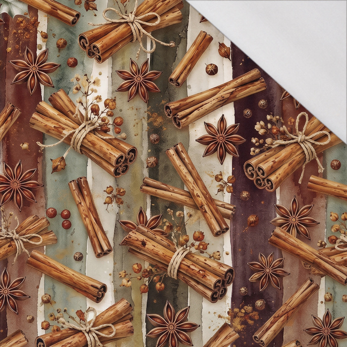 CHRISTMAS STRIPES WZ.2 - single jersey