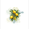 TUTTI FRUTTI LEMONS - Panel (60cm x 50cm)  Polster- Velours