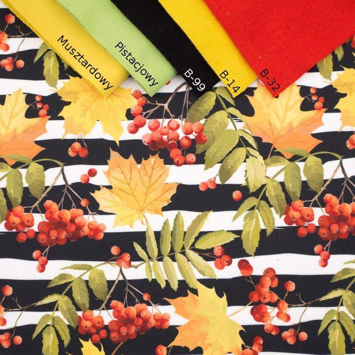 50cm JARZĘBINY - softshell