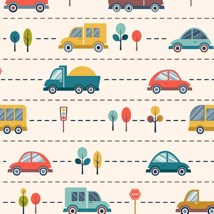 KOLOROWE AUTKA - dresówka pętelkowa SP250