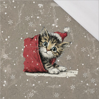 CHRISTMAS PETS WZ. 4 - panel (60cm x 50cm) SINGLE JERSEY