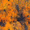 HALLOWEEN WZ. 54 - looped knit fabric