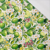 TUTTI FRUTTI WZ. 41 / lime cream - Single Jersey