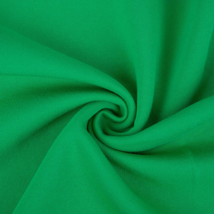 D-101 GREEN - thick brushed sweatshirt D300