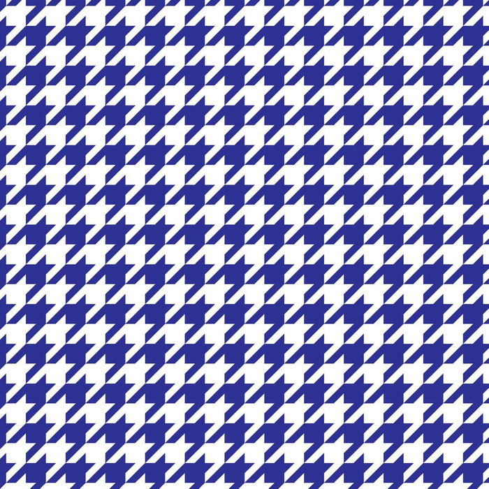 Chrpová KOHOUTÍ STOPA/ BÍLÁ