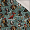 DOGS WZ. 3 / CHRISTMAS - brushed knitwear with elastane ITY