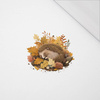 SLEEPING HEDGEHOG - PANEL (40cm x 40cm) ORGANICZNY SINGLE JERSEY