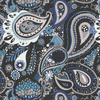 Paisley Mst. 6 - Thermo lycra