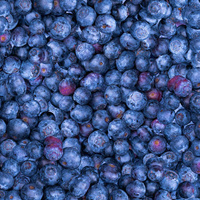 BLAUBEEREN - Wasserabweisende Webware