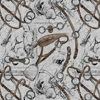 JEŹDZIECTWO (HOBBY I ZAWODY) / acid