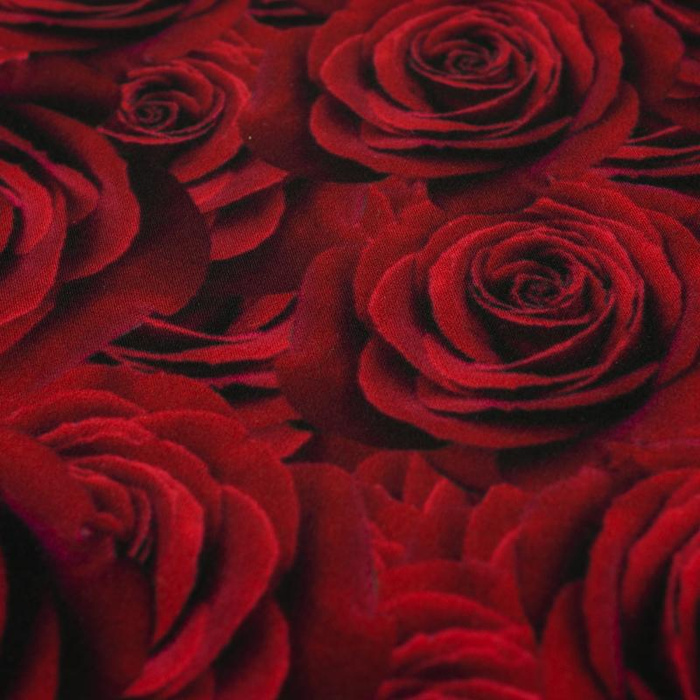 ROSEN - Softshell