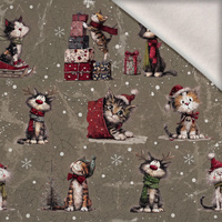 CHRISTMAS PETS WZ. 4 - Wintersweat angeraut mit Elastan ITY