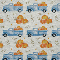 KÜRBISSE AUF DEM PICK-UP / BLÄTTER(KÜRBISGARTEN) / melange hellgrau