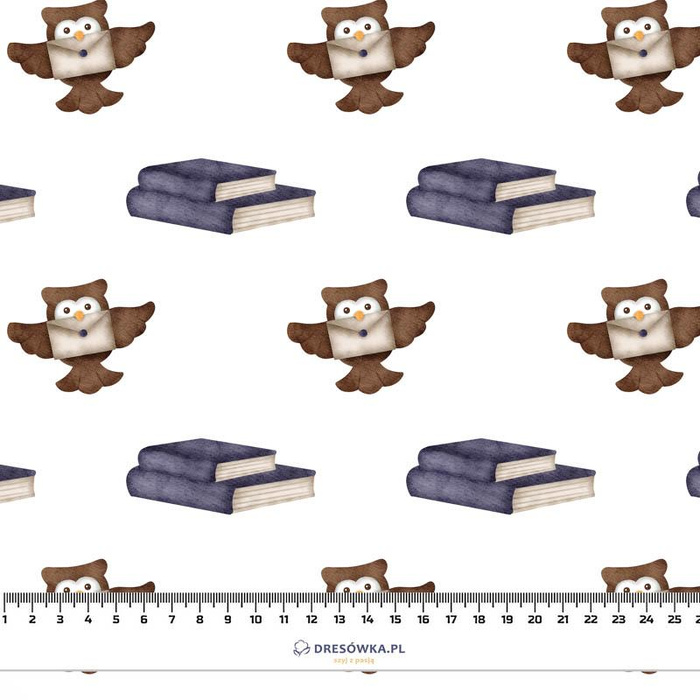 OWLS / books (MAGIC SCHOOL)