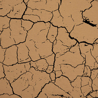 SCORCHED EARTH (black) / B-03 - coffee