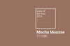 BOHO / Mocha Mousse  - single jersey 