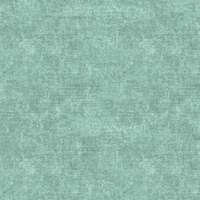 ACID WASH / ŠPINAVÁ MÁTA