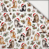 CHRISTMAS PETS WZ. 1 - lekka dzianina drapana