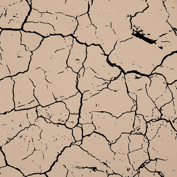 SPĘKANA ZIEMIA (czarna) / beżowy