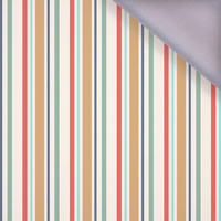 VERTICAL STRIPES pat. 3 - softshell