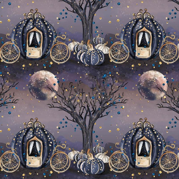 ZAČAROVANÝ KOČÁR (ZAČAROVANÁ NOC) - softshell