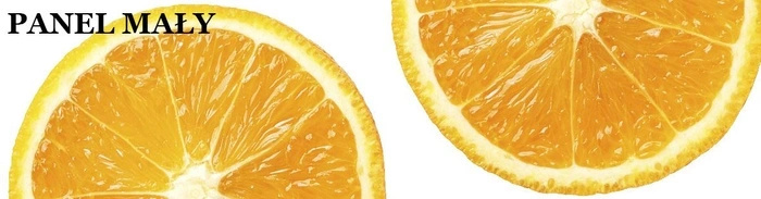 Circle skirt panel - ORANGE