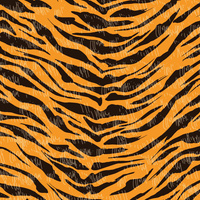 TIGER m. 1 - Baumwoll Webware