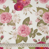 ROSE GARDEN / white - single jersey with elastane 