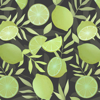LIMES / graphite