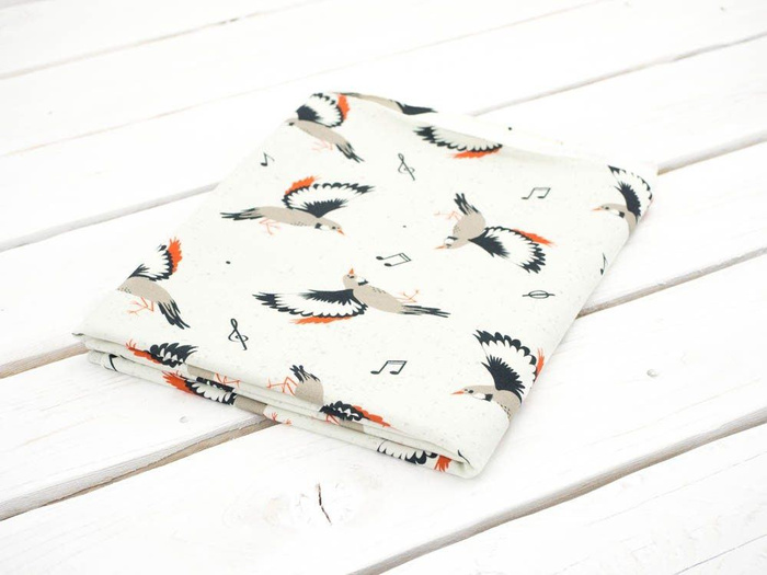 50CM BIRDS TUNES / dirty white - single jersey with elastane - single jersey with elastane TE210
