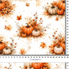 AUTUMN WZ. 1 - dresówka pętelkowa