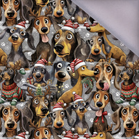 DOGS WZ. 1 / CHRISTMAS - Softshell