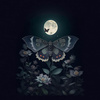 NIGHT BUTTERFLY - Panel (75cm x 80cm) Voděodolná tkanina Oxford