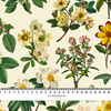 50CM BOTANICAL GARDEN wz.1 - Waterproof woven fabric