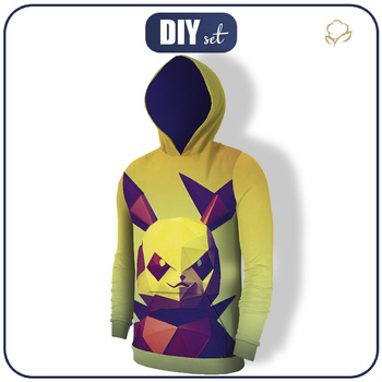 MĘSKA BLUZA Z KAPTUREM (COLORADO) - BAD ELECTRICITY - zestaw do uszycia