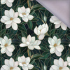 STAINED GLASS WZ. 19 - softshell