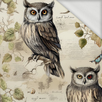 PASTEL BIRDS WZ. 4 (SOWY) - dresówka pętelkowa