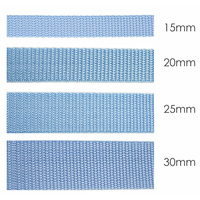 Webbing tape - light blue / Choice of sizes