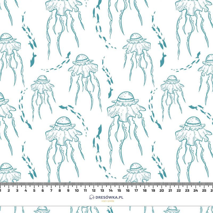 JELLYFISH AND SHOAL (BLUE PLANET)