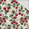 TUTTI FRUTTI WZ. 26 - Sommersweat