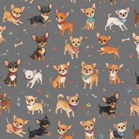 CHIHUAHUA DOGS