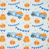PUMPKINS ON THE PICKUP /  ROSETTES (PUMPKIN GARDEN)